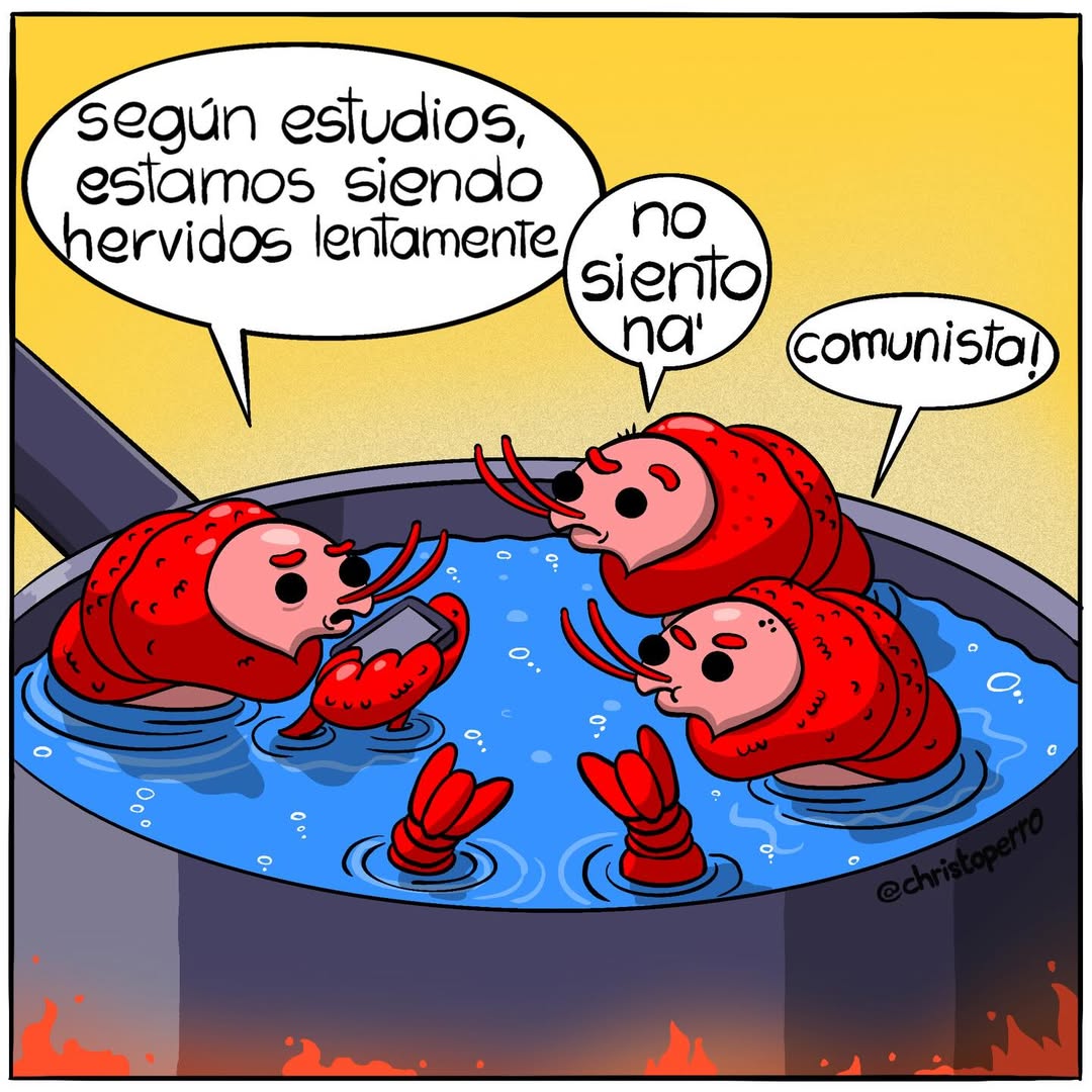 🔗 instagram.com/p/DUq255cDx1X/