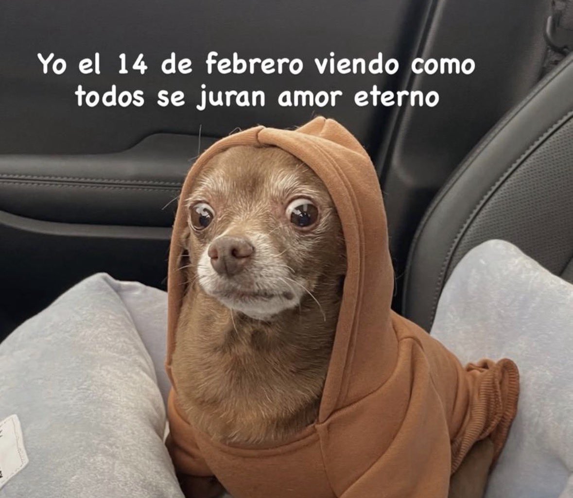 elmajose's tweet photo. Jajajaja 😝 https://t.co/pys62WrAyj