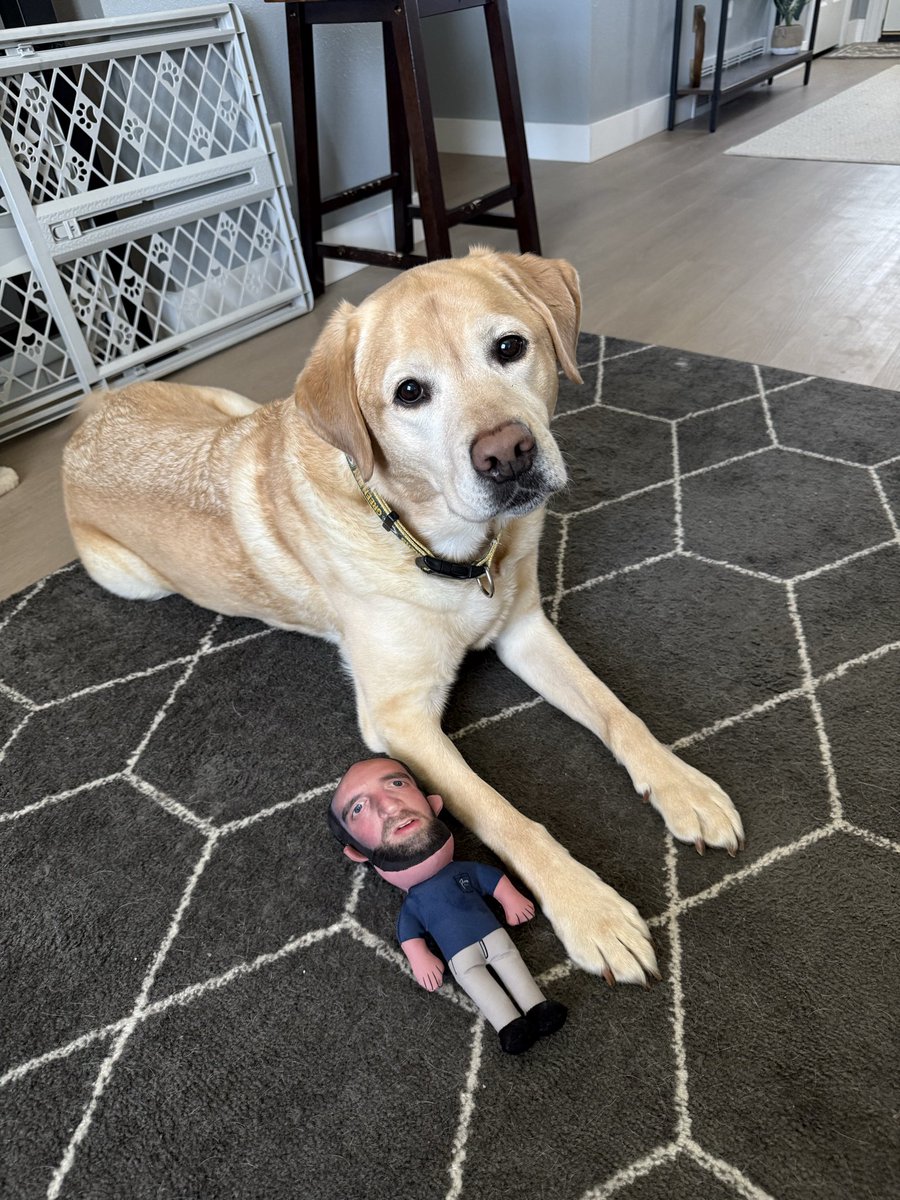 collinc322's tweet photo. Bane loves @hen_ease 

Thanks for bringing these back @PardonMyMeme https://t.co/A5RxowV4LN