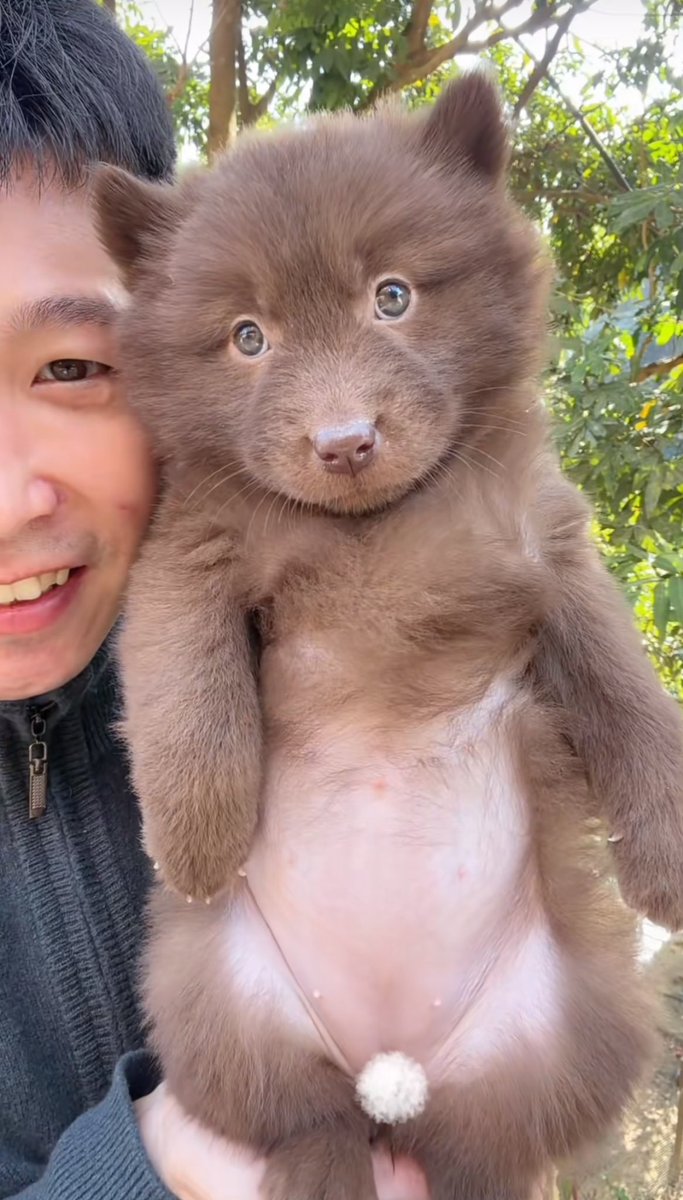 withmyjhyun's tweet photo. เหมือนแฮชานเลย 🐻🐻🐻🐻🐻 https://t.co/Cv0TM49UHf