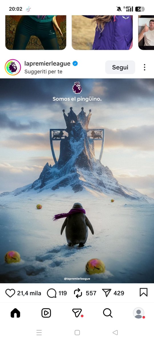 The weekend is coming up, the Premier League is playing ⚽🏴󠁧󠁢󠁥󠁮󠁧󠁿

$Penguin