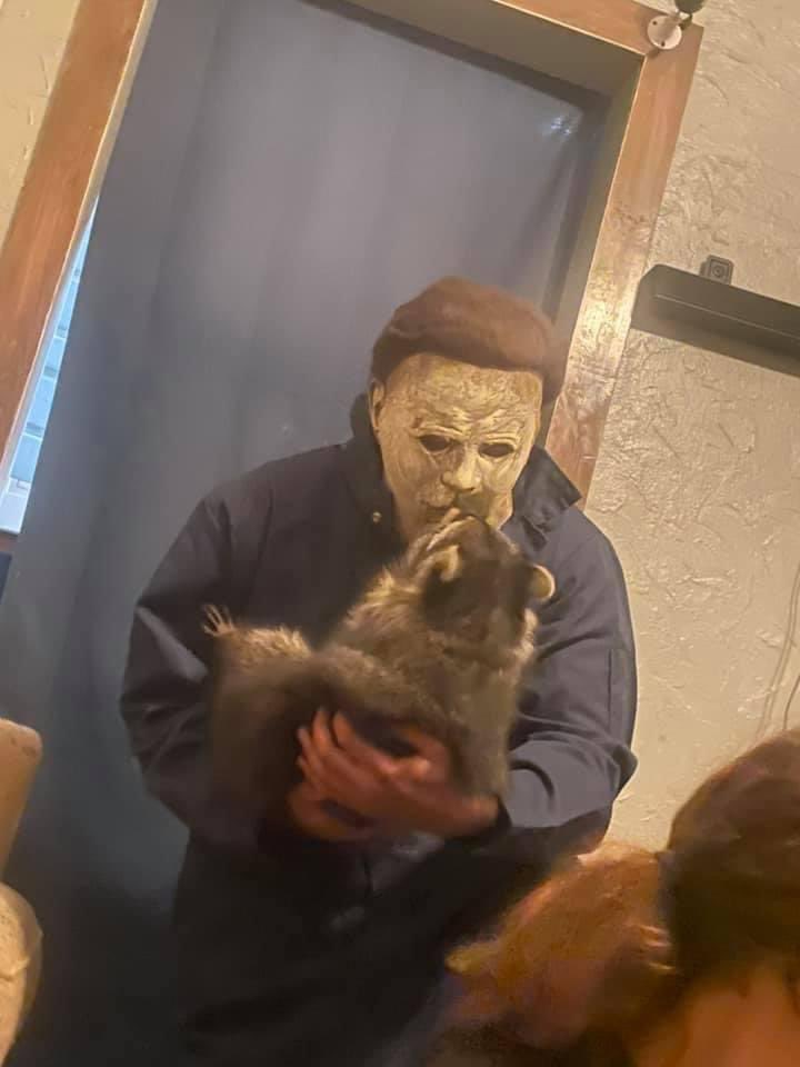 Why you should have a Raccoon tweet media