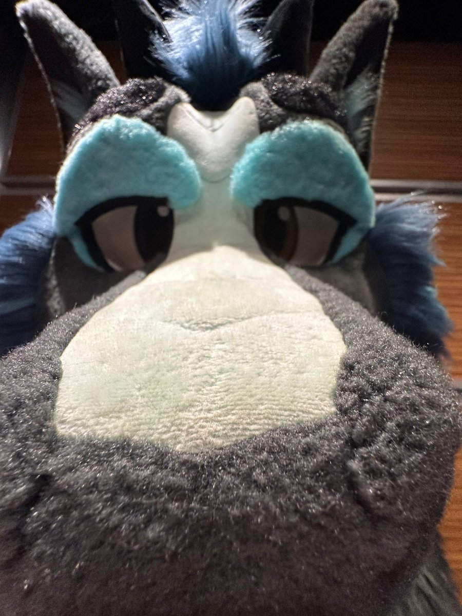 Demi 🔜 TFF, LVFC, FWA tweet media