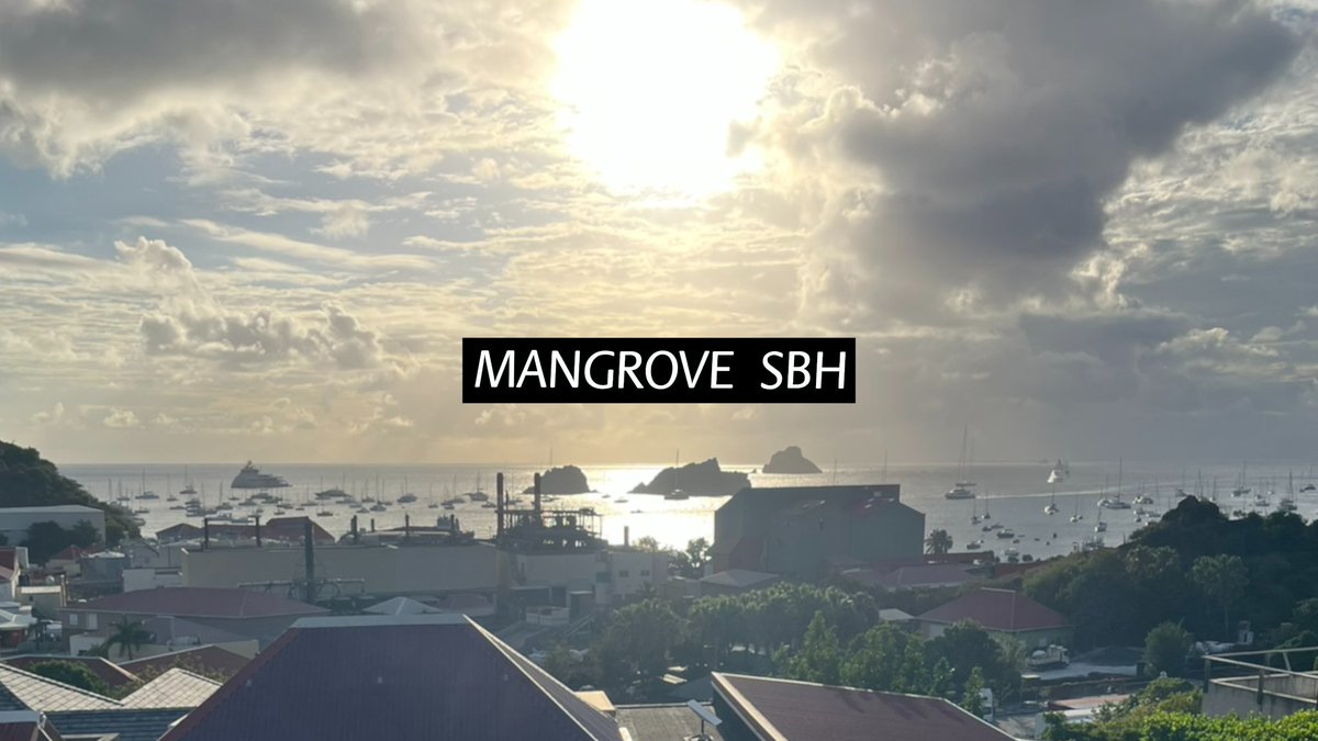 MANGROVE. SBH tweet media