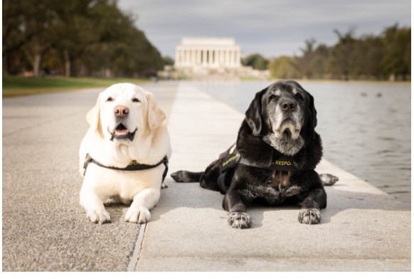 FBI St. Louis tweet media