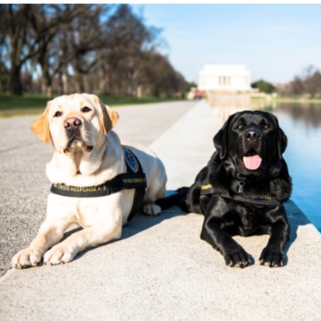 FBI St. Louis tweet media