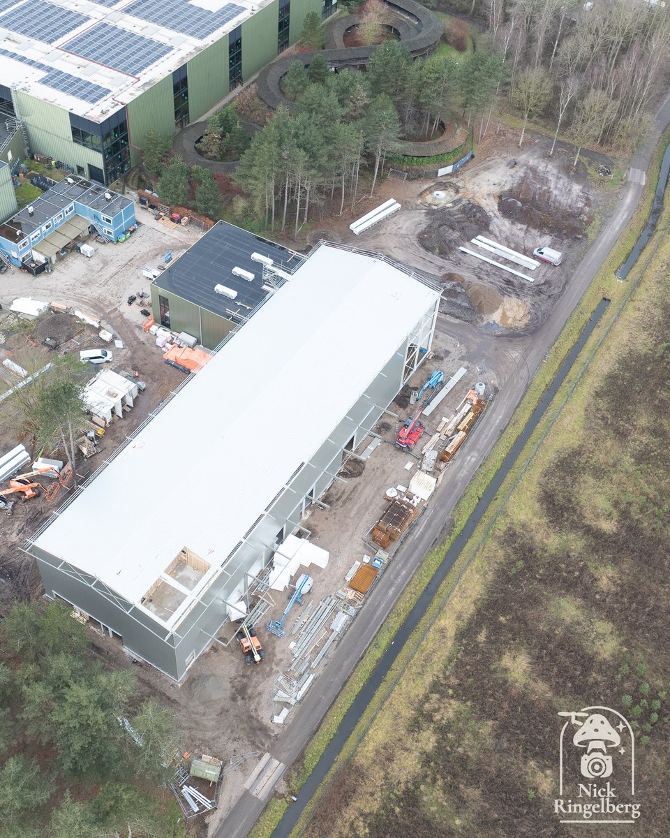 RingelbergNick's tweet photo. Toverland Bouwupdate van de nieuwe TD-loods
Wat zal er achter komen, dat bos is ook verdwenen. Daar zit ineens een put en heel bos is weg.
#toverland #bouwupdate #themeparks
π Toverland https://t.co/awvgMuOUO4