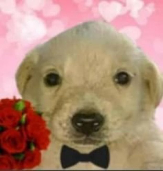 Vargram, The Raging Wolf tweet media