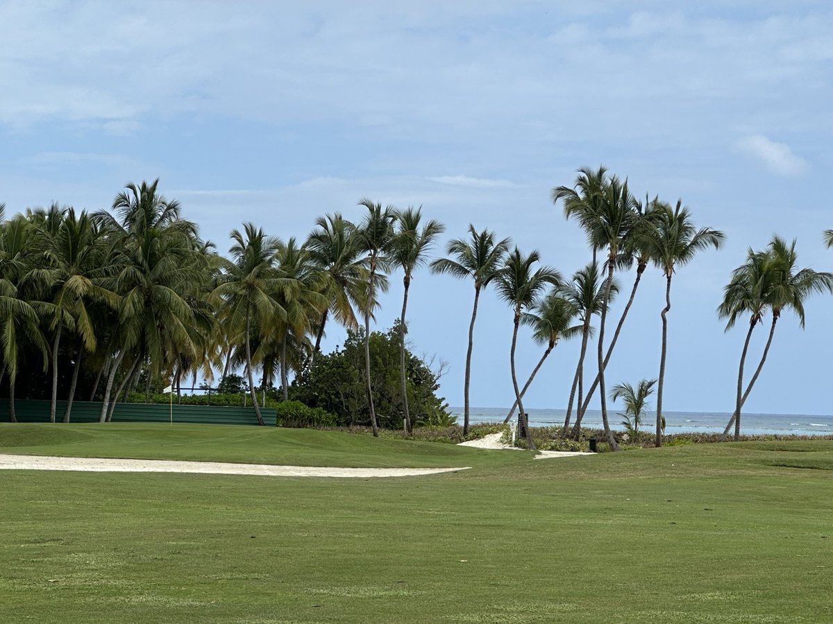 ZenChipshot's tweet image. Crushing Drives @LaCanaGolfClub . TY to Caddie Henry🏌️‍♂️☀️⛳️🌴