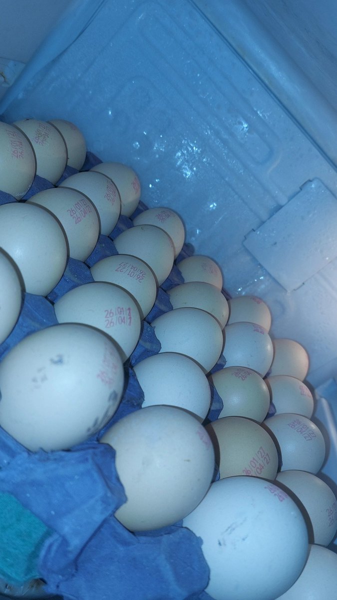 هاي علمود عضلاتي 😙