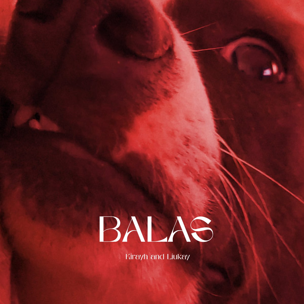 Ja ta podendo lançar essa Liukay?!
<a href="/Liukay_ofc/">𝙻𝙸𝚄𝙺𝟺𝚈</a>