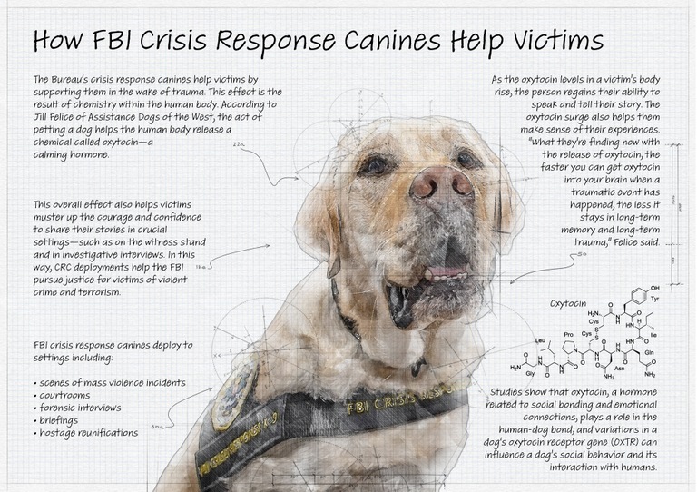 FBI St. Louis tweet media