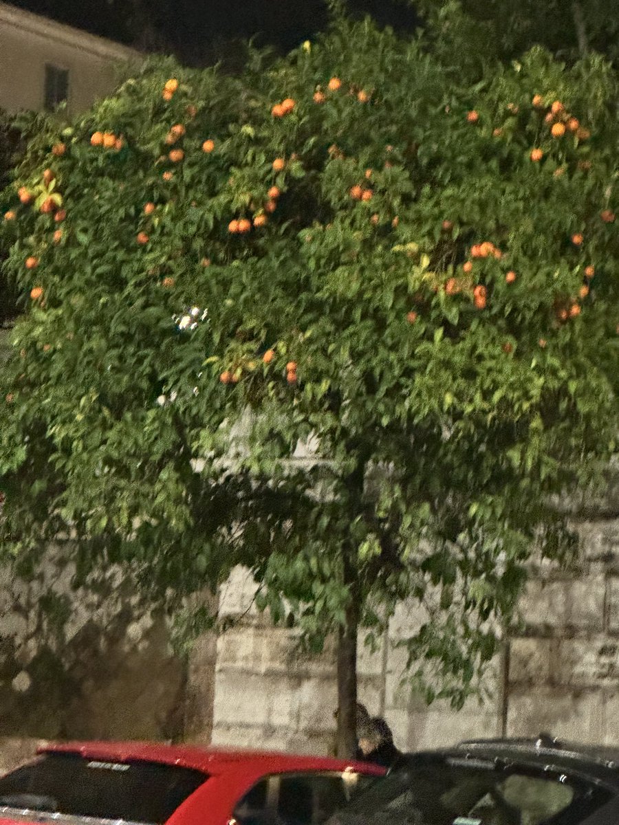 City of Rome always inspires