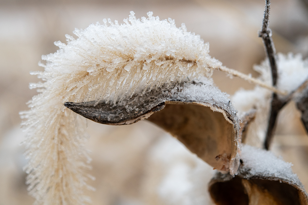 Nebraskaland tweet media