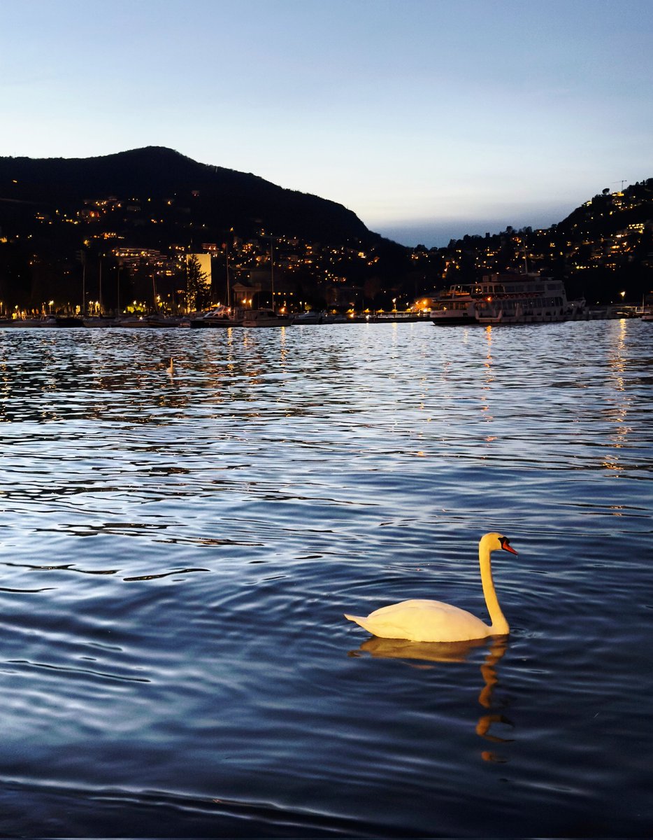 Buonanotte con questa bellezza 📸mia