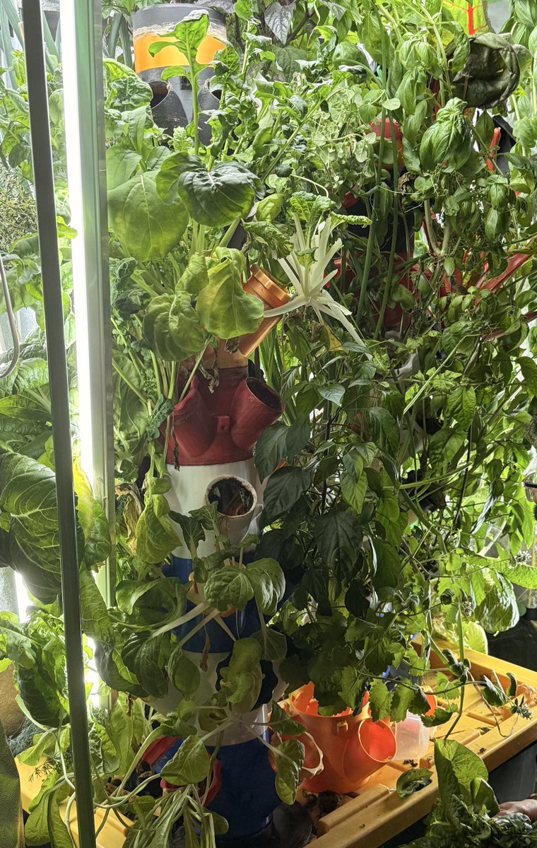 Madhav Shroff tweet media