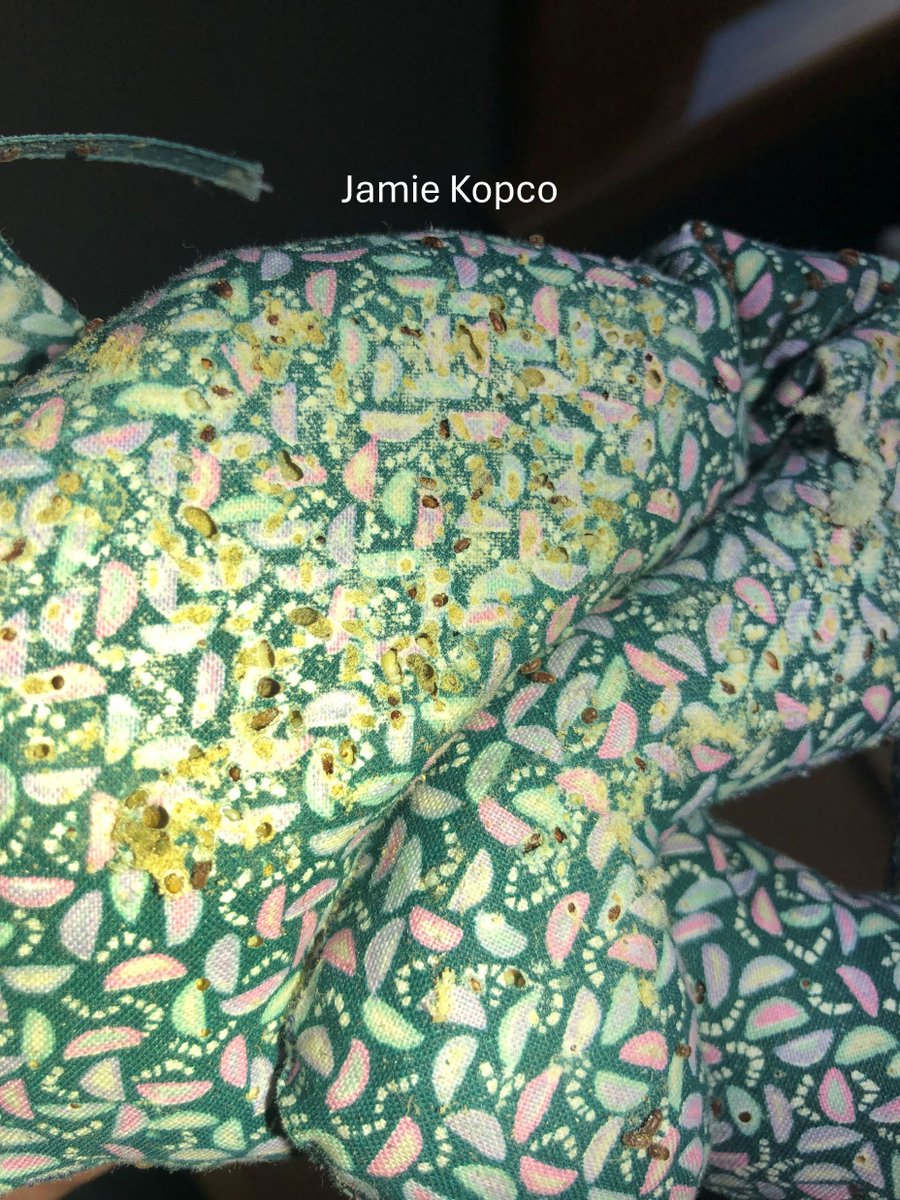 Penn State Pesticide tweet media