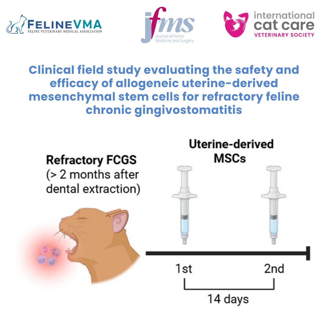 Feline Veterinary Medical Association tweet media