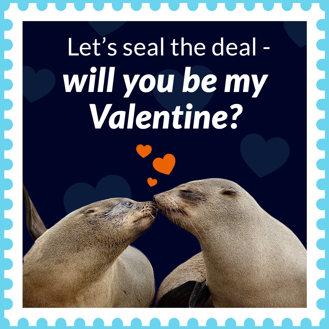 National Marine Sanctuary Foundation tweet media