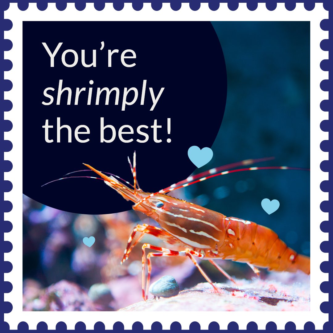 National Marine Sanctuary Foundation tweet media