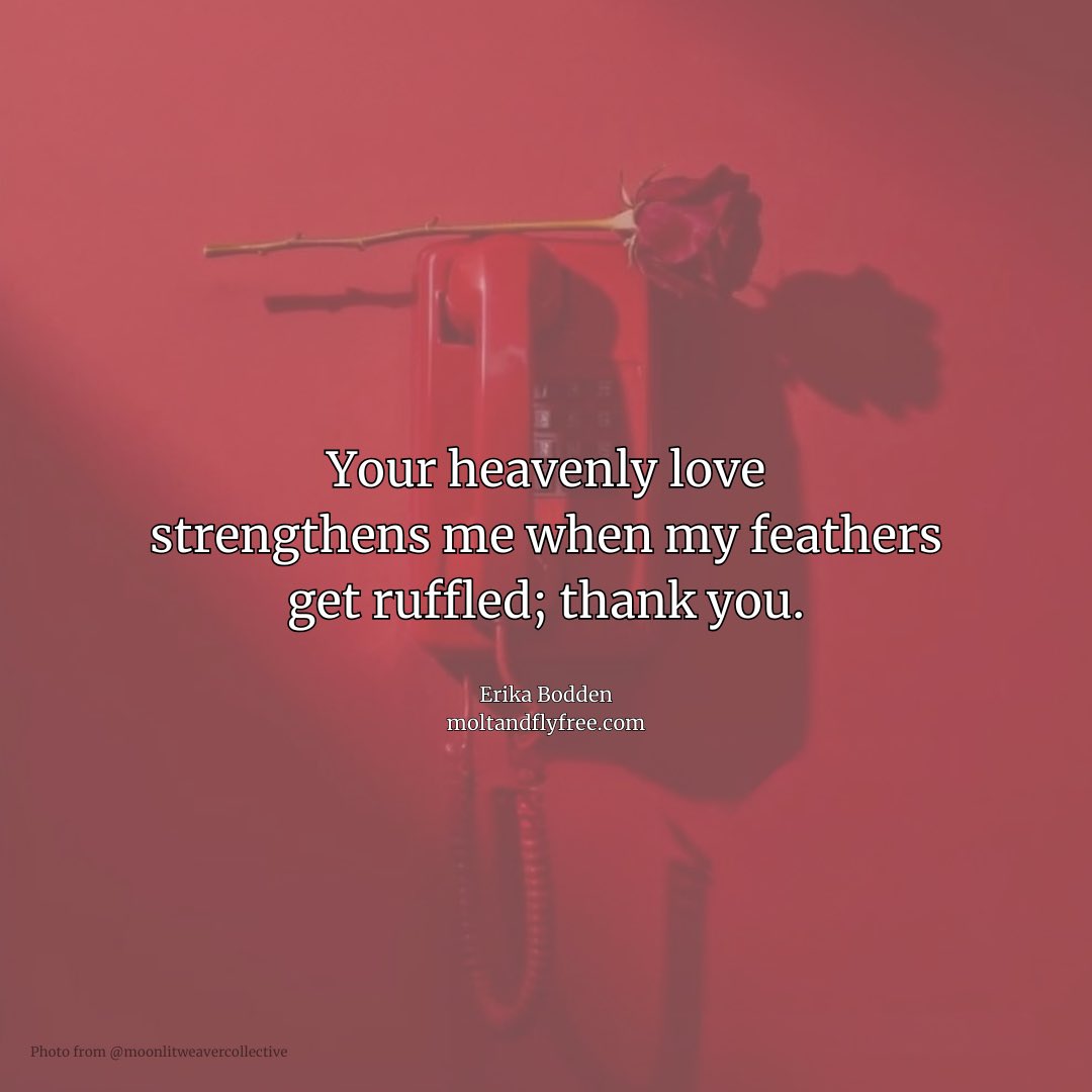 momofdivadogs's tweet photo. Thanks to the following creators and their prompts. 😊 #poet #poem #poetry
@moonlitweavercollective Photo Prompt Challenge: #Haiku
@coralynn.poetry
“Make a Match” List 1: Heavenly / List 2: Love
https://t.co/mM9WfgmGDZ https://t.co/mJazaAee3a