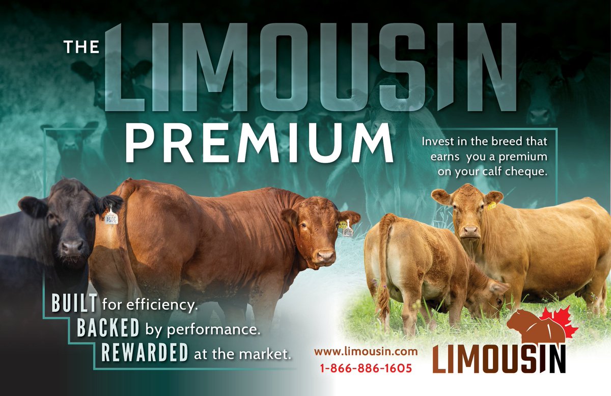 Bee Zee Acres tweet media