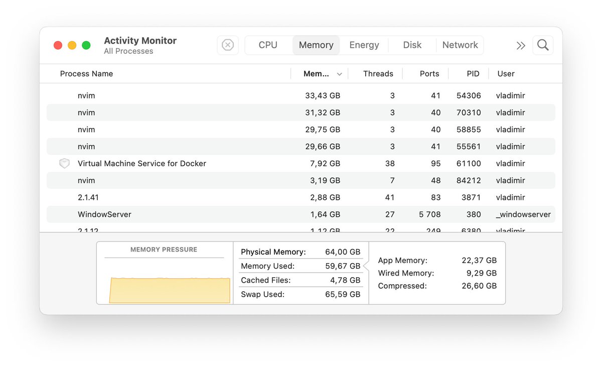 prudnikov's tweet photo. They say @pycharm  and and @WebStormIDE  eat a lot of memory, so I switched to @neovim_btw https://t.co/ag7hWEkcgY
