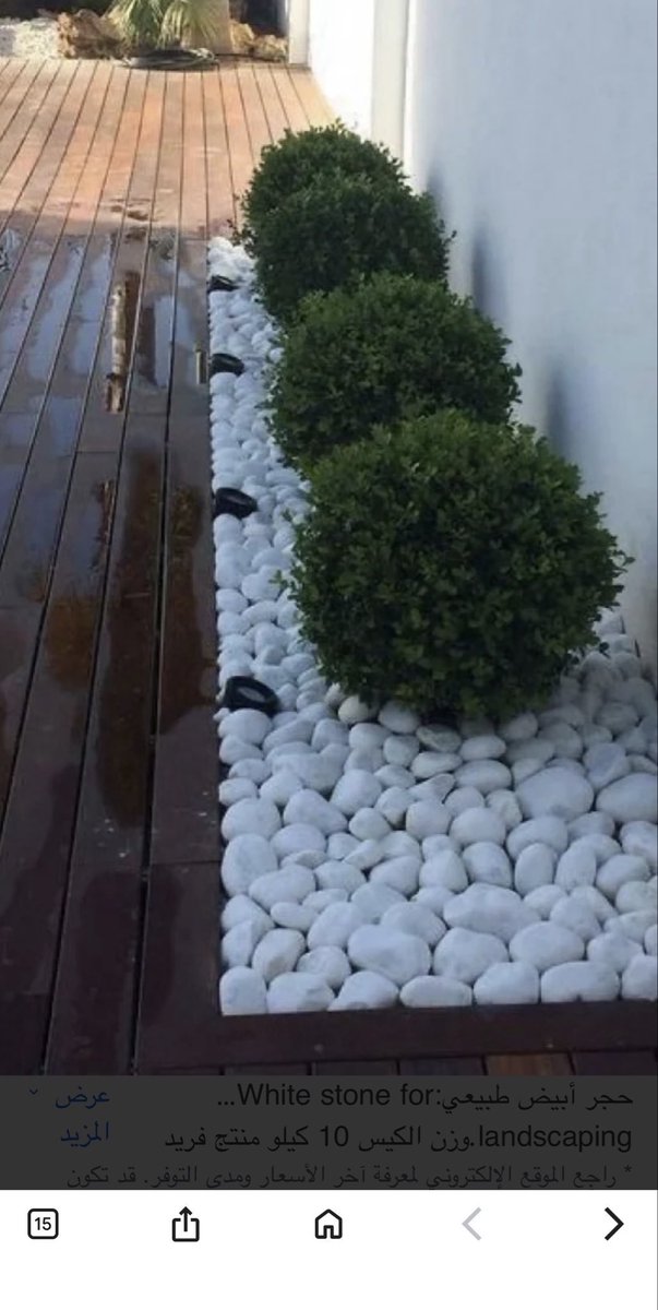 اسأل الشرقية AskAlshargiy tweet media