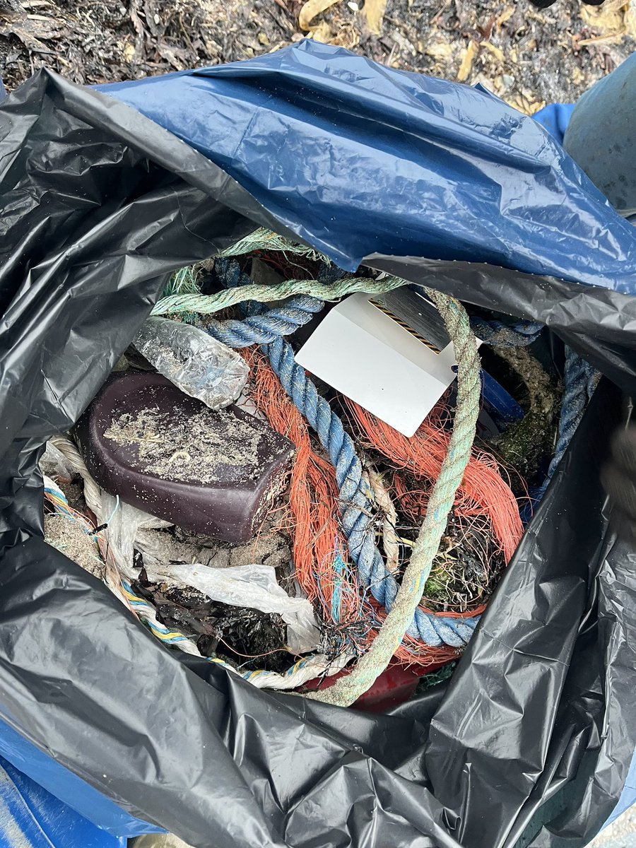 _CleanSea tweet media