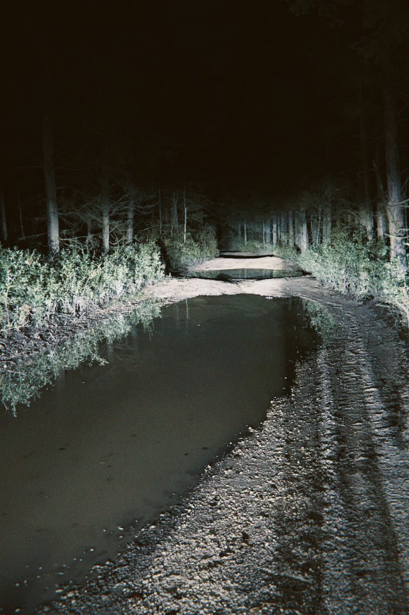 You need to watch the new Pine Barrens video to know why this picture’s so haunting. I took it before we even knew where we actually were🌲 
IYKYK

🌲 youtu.be/jjwrB09T8h4?si…🌲