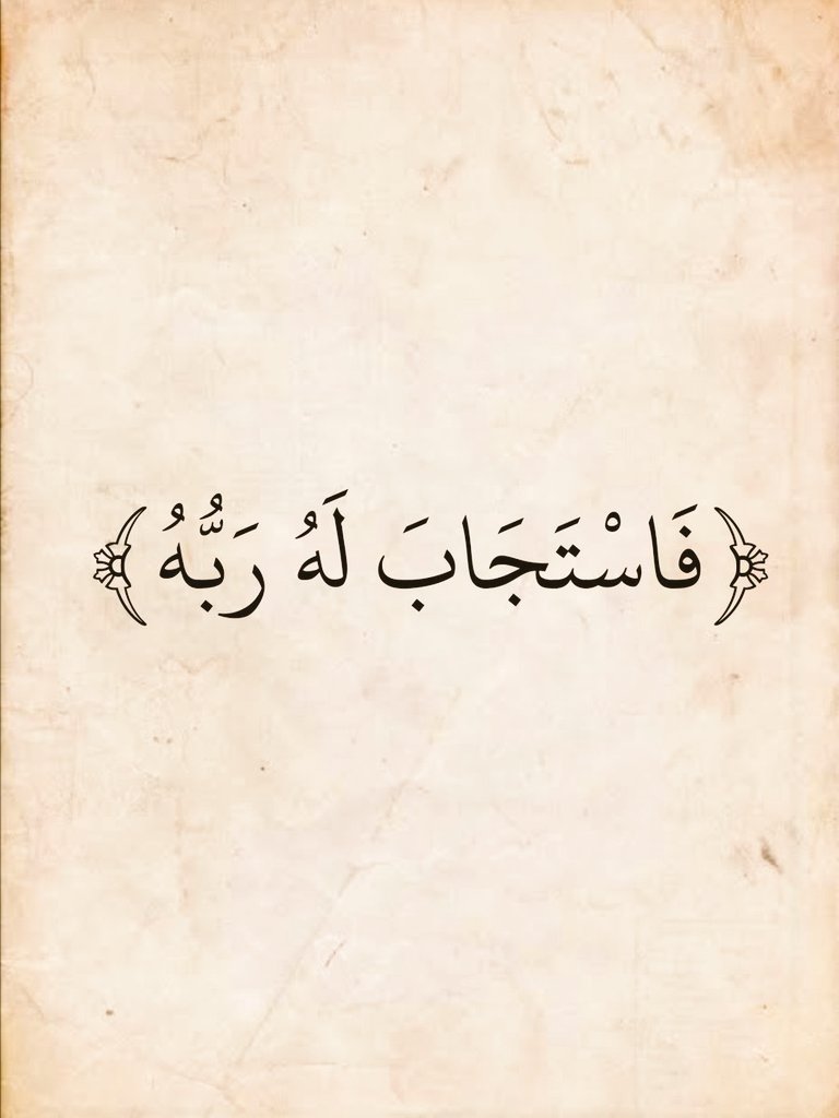 آيات القرآن tweet media