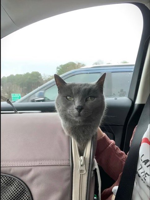 아 진짜 왜이렇게 웃기게생김