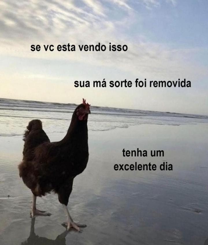 _SantaPuta_'s tweet photo. @acervoarii https://t.co/ljdP1tblCL