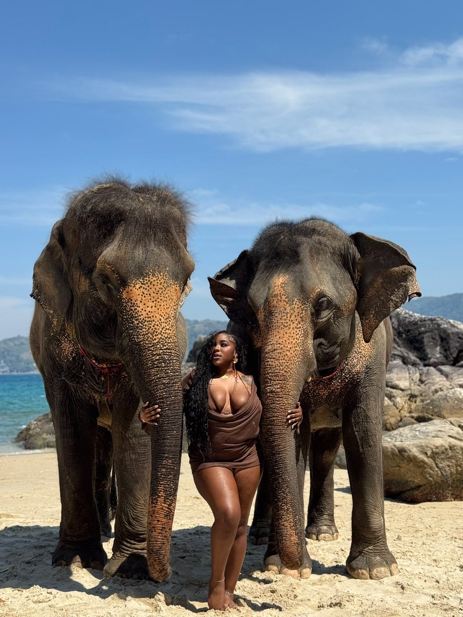 all thai’d up 🐘🤎🇹🇭