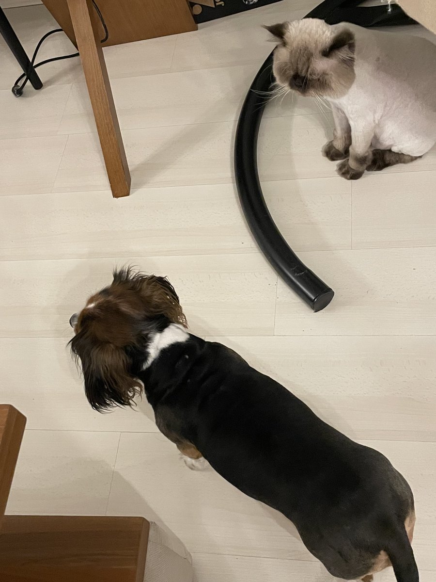 Ya bence bu iş oldu🙏