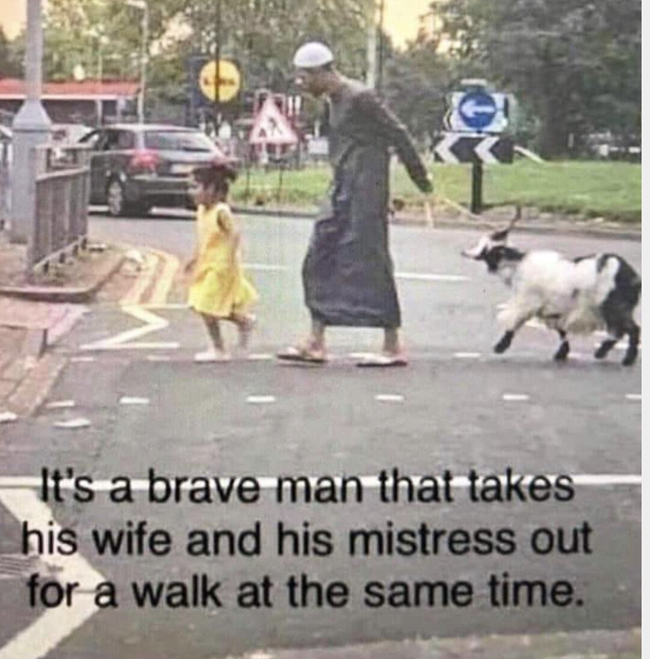 <a href="/realMaalouf/">Dr. Maalouf ‏</a>