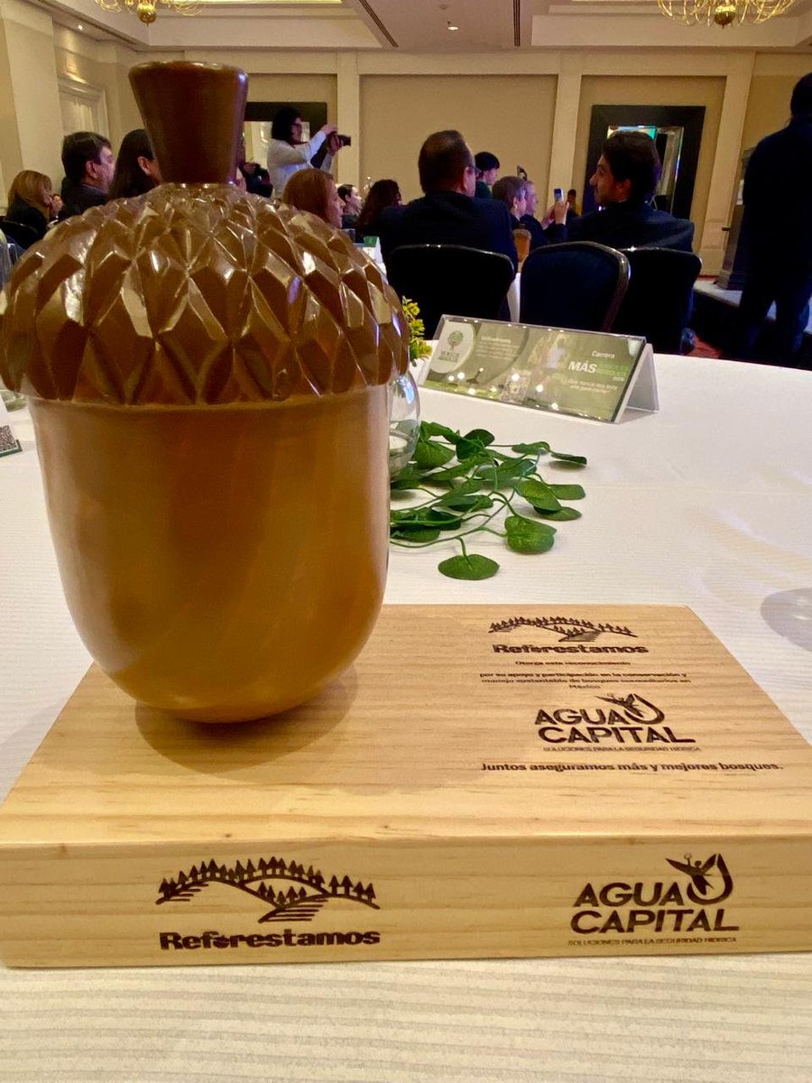 Muy orgullosos de recibir este premio por parte de <a href="/ReforestamosMx/">Reforestamos México</a>  y de fortalecer nuestra alianza estratégica para la conservación y protección de nuestros #Bosques. 
Si cuidamos los Bosques, cuidamos el agua

¡Gracias!