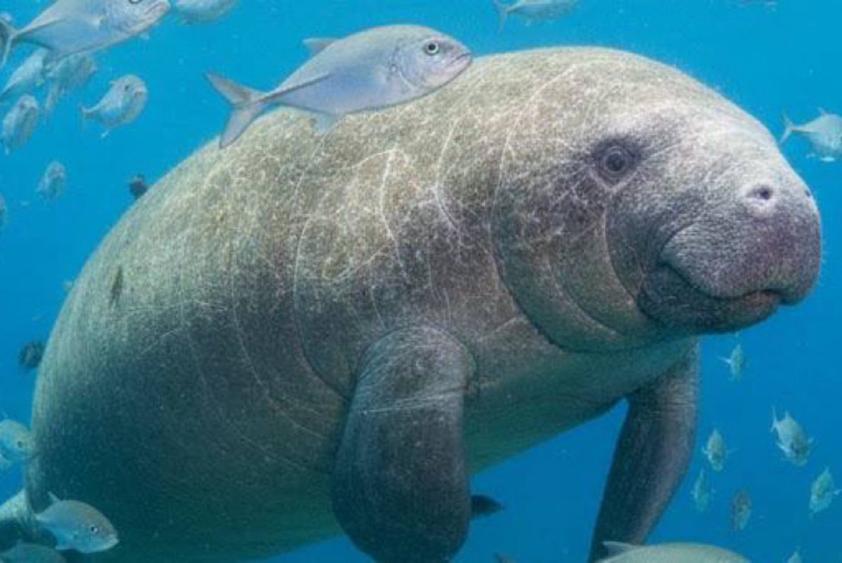 Professional Regard tweet media