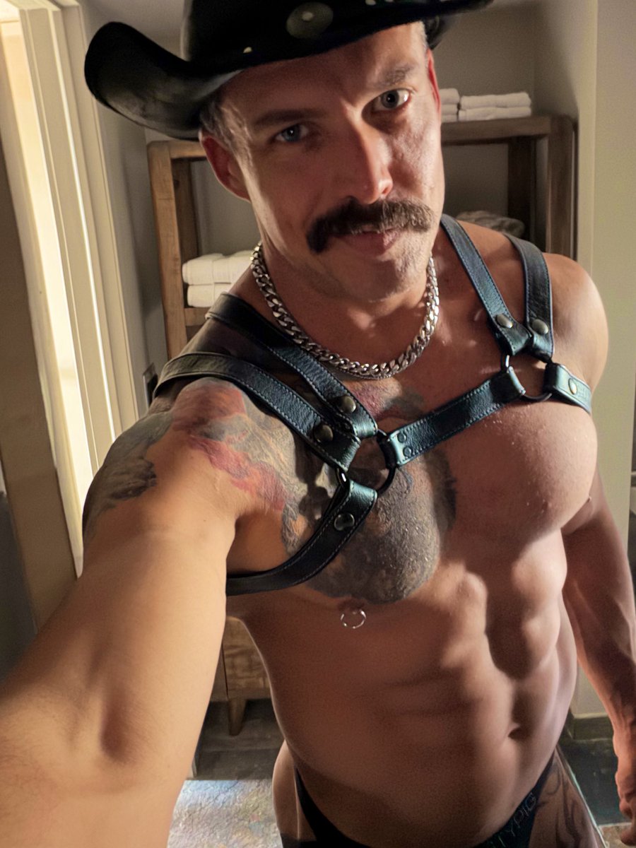 fistpit's tweet photo. Giddy up, SIRS!!

Save a stallion, ride a sub! https://t.co/hq9CxwqzwG