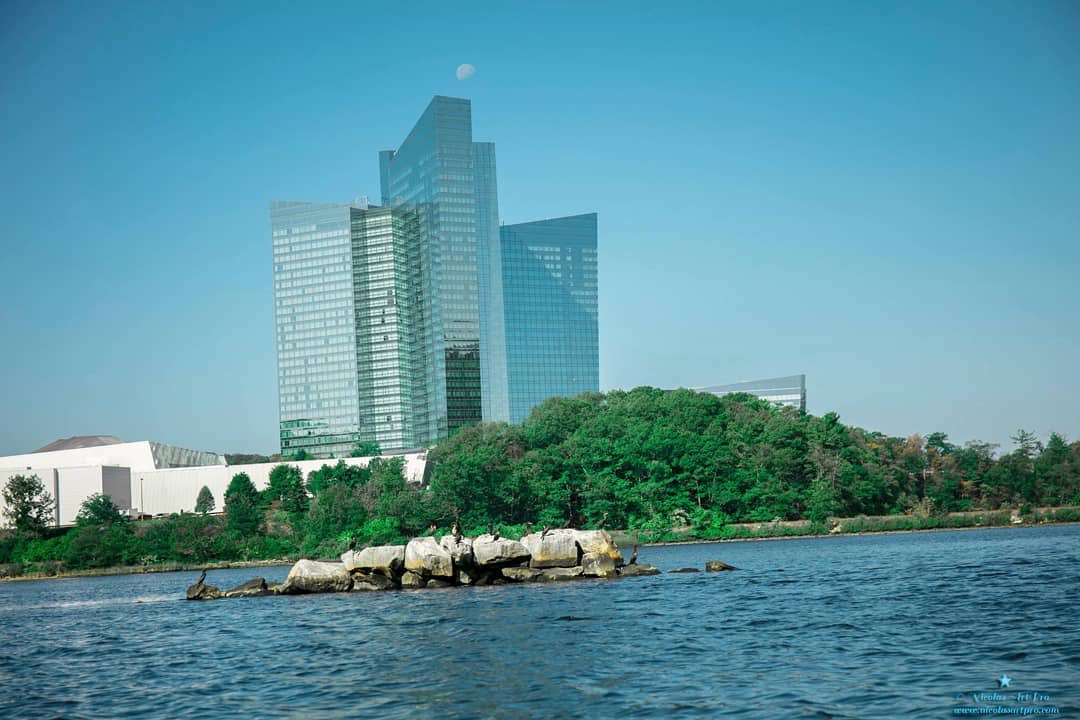 Niko Myrtai tweet media