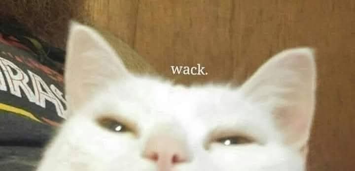 ThatFluffyShark tweet media