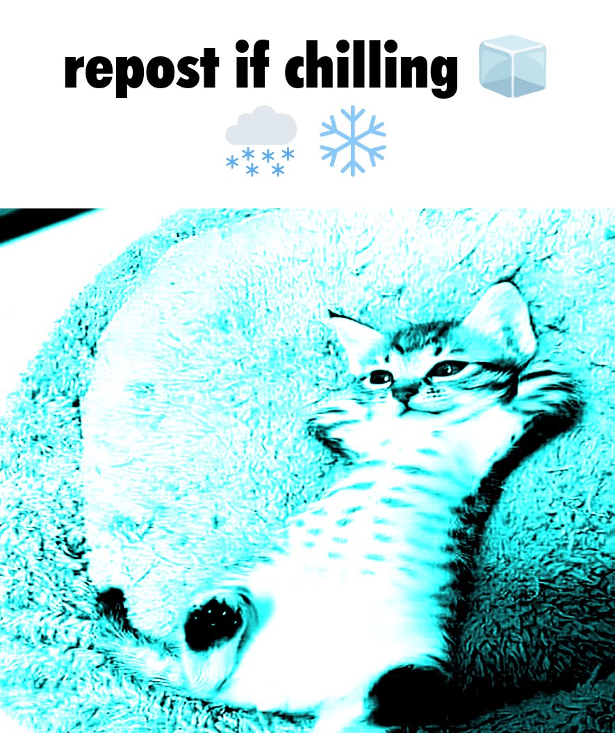 stupid picture (@q23ne234) on Twitter photo 