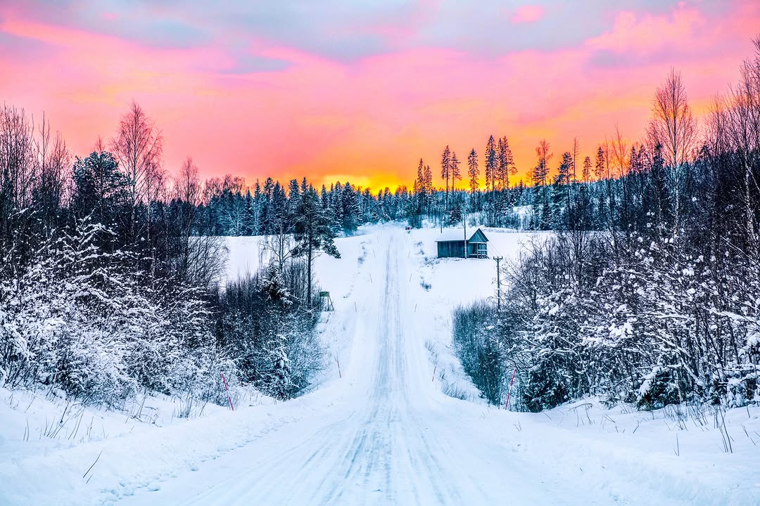 Prodrive tweet media