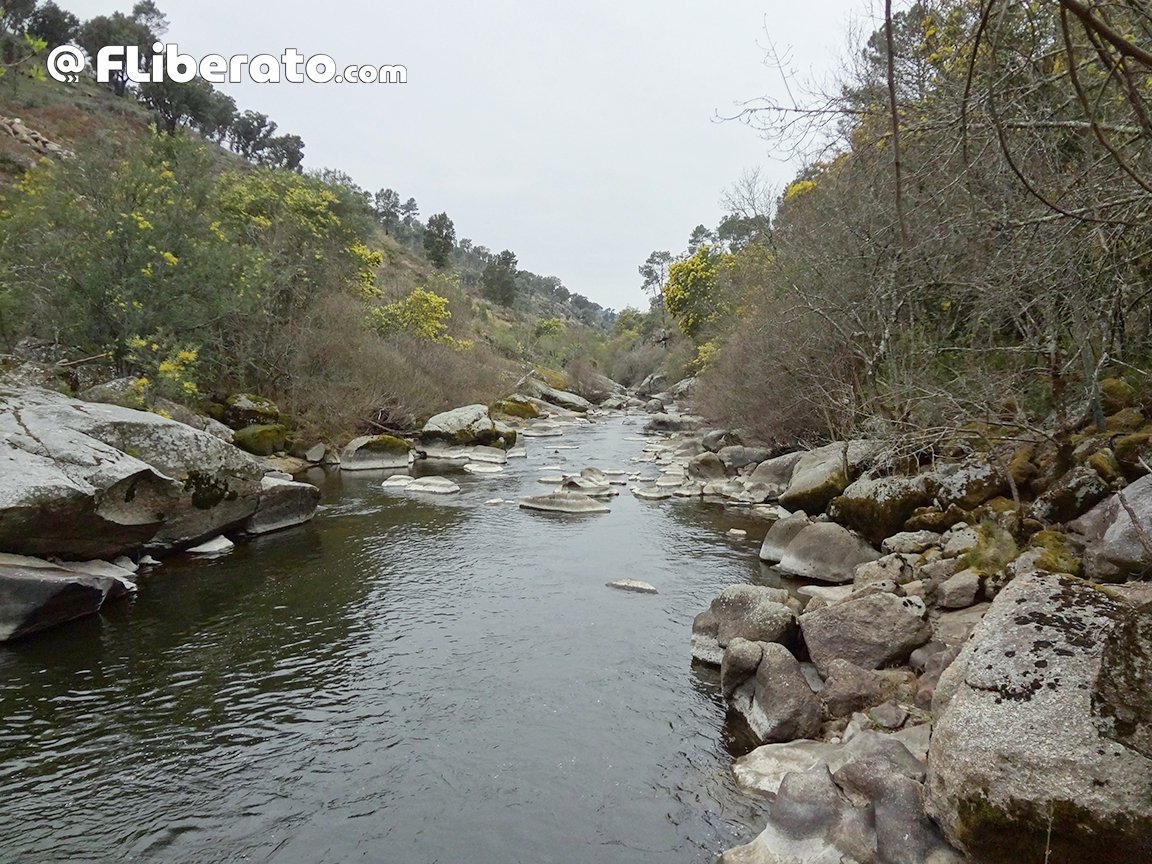 Fernando Liberato tweet media