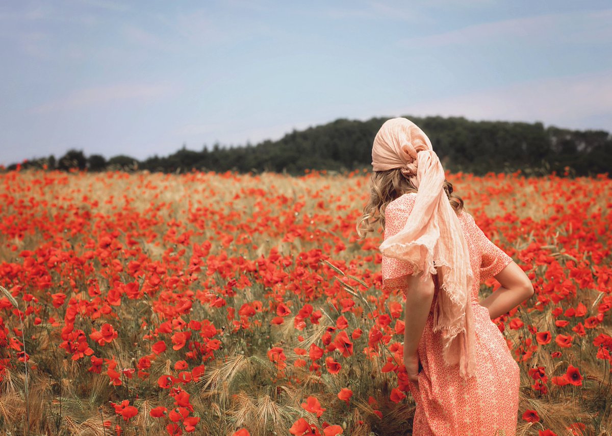 VIEWBUG 📷 ❤️ tweet media