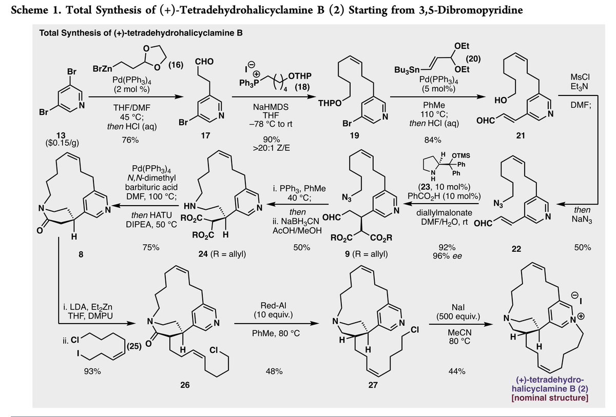 Total Synthesis tweet media