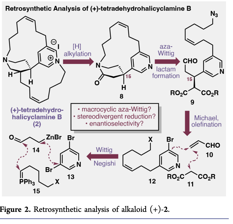 Total Synthesis tweet media