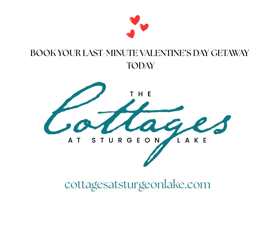 FLATO DEVELOPMENTS tweet media