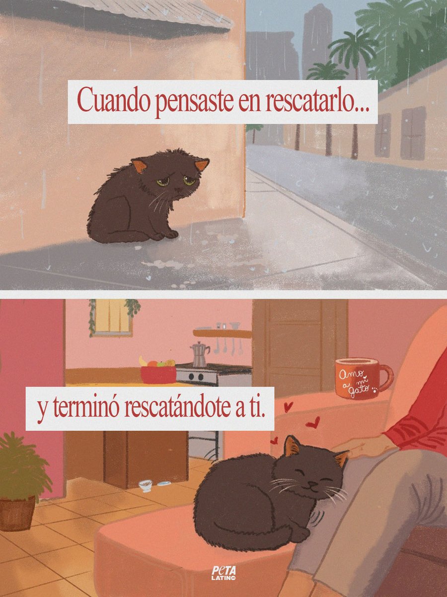 Este San Valentín celebramos el amor que compartimos con nuestros animales de compañía ❤️

Un vínculo que se honra con cuidado, respeto y compromiso todos los días, porque son familia 🐾💘