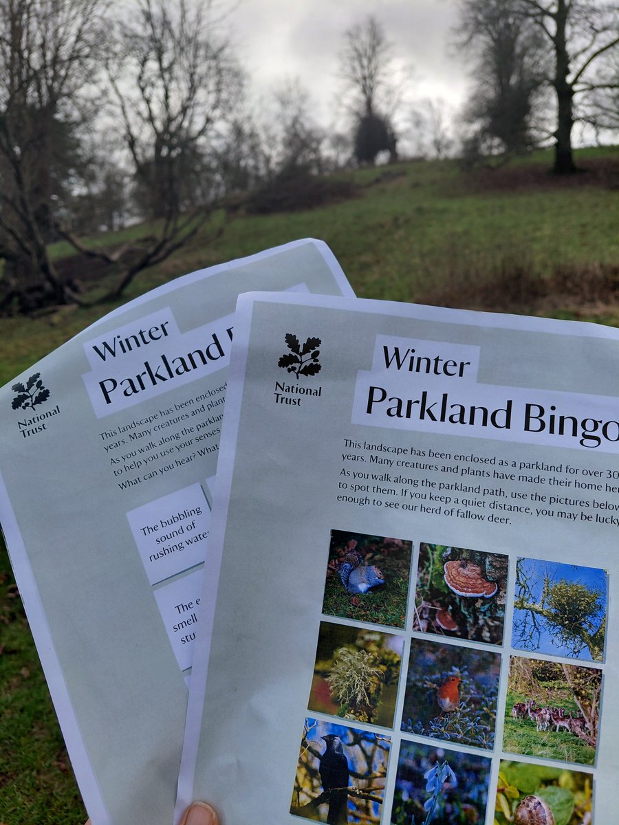 NTDyrhamPark's tweet image. A reminder that there’s no winter tots session tomorrow, Tuesday 17 February, but we do have dressing up 17th-century style in the Tasting Kitchen plus winter parkland bingo sheets available all week to keep youngsters busy during #halfterm: bit.ly/4qLwihO 🦌🌳👒